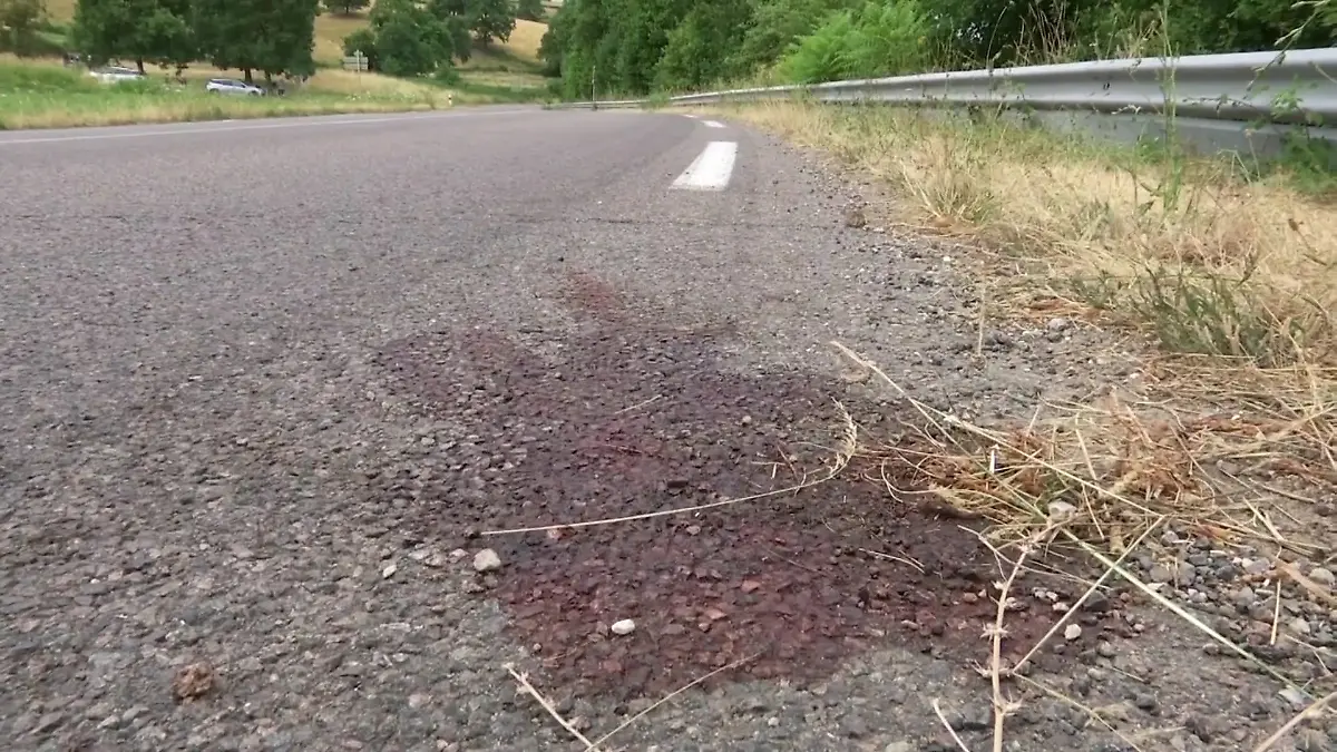 13-Jähriger stirbt bei Verfolgungsjagd mit der Polizei.