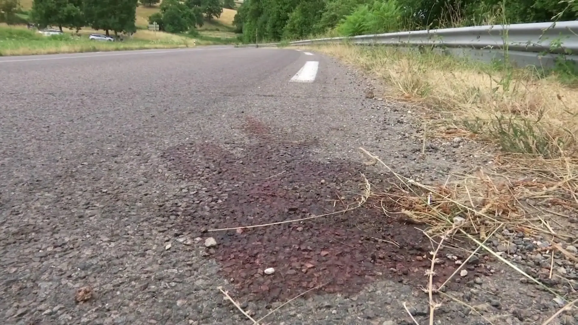 13-Jähriger stirbt bei Verfolgungsjagd mit der Polizei.