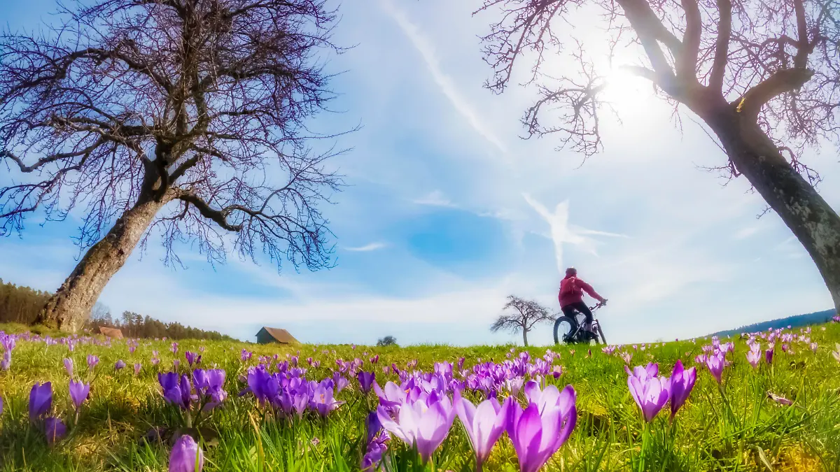 Fröhliche junge Frau, die im Frühjahr mit ihrem elektrischen Mountainbike auf einer Wiese mit bunt blühenden Krokussen unterwegs ist || Modellfreigabe vorhanden