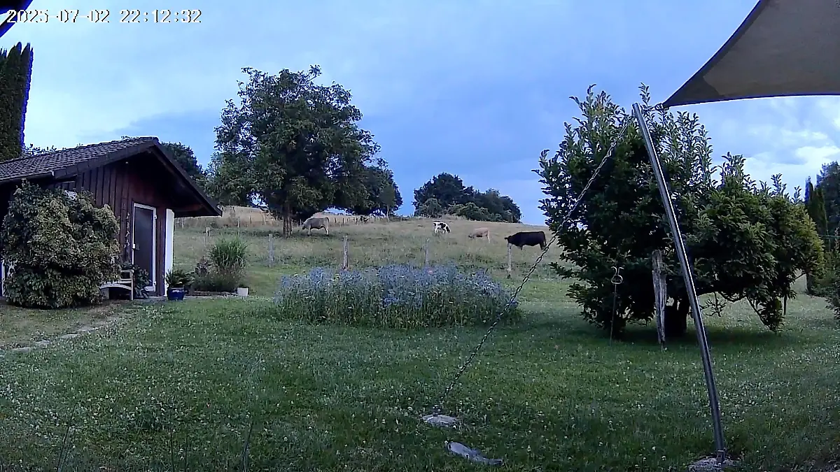 Gartenaufnahme in Farbe in der Dunkelheit. 