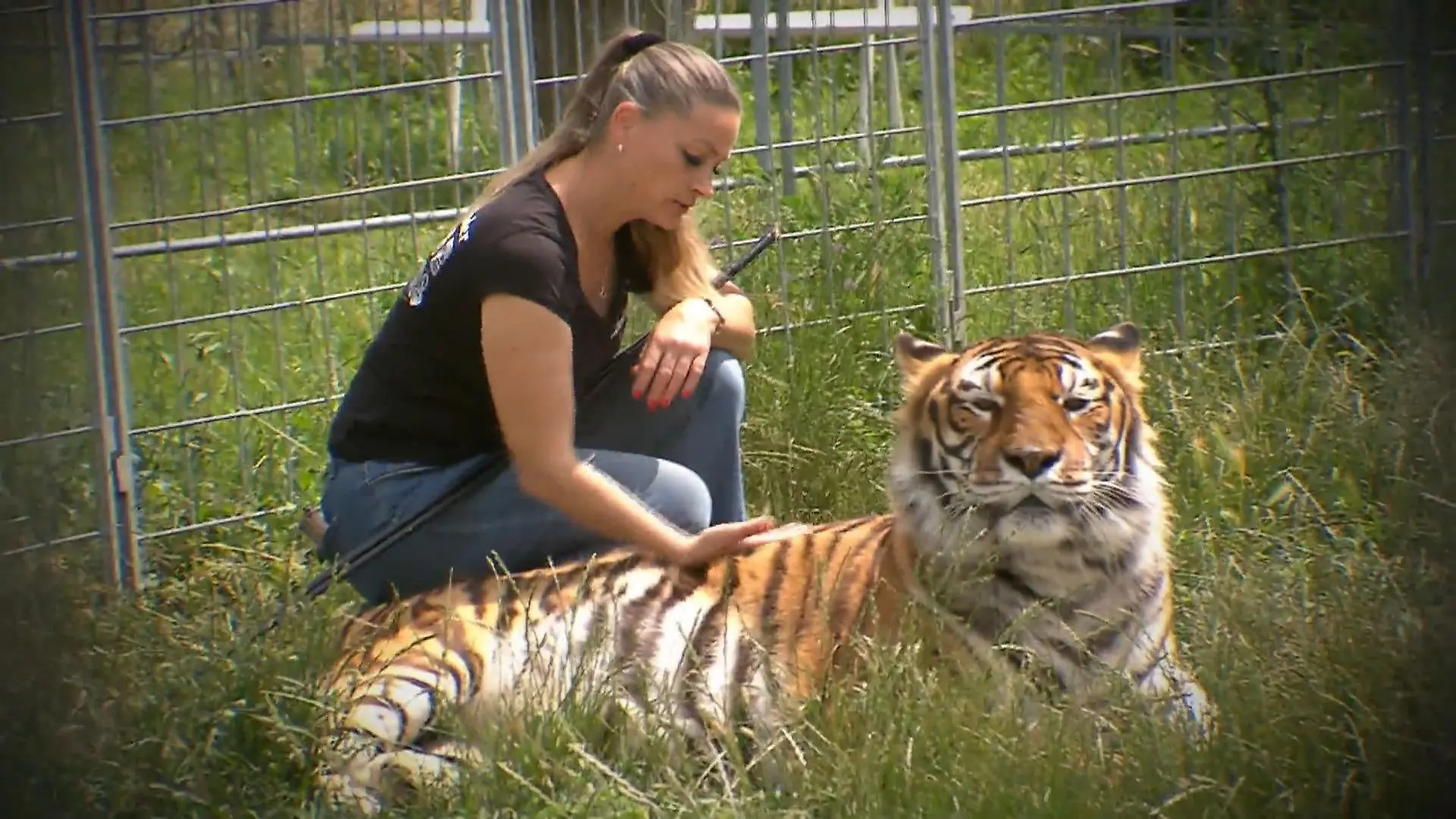 Carmen Zander mit einem ihrer Tiger.