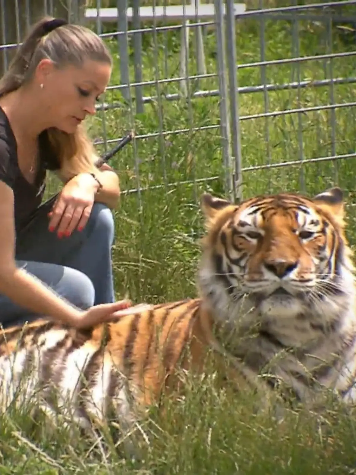 Carmen Zander mit einem ihrer Tiger.