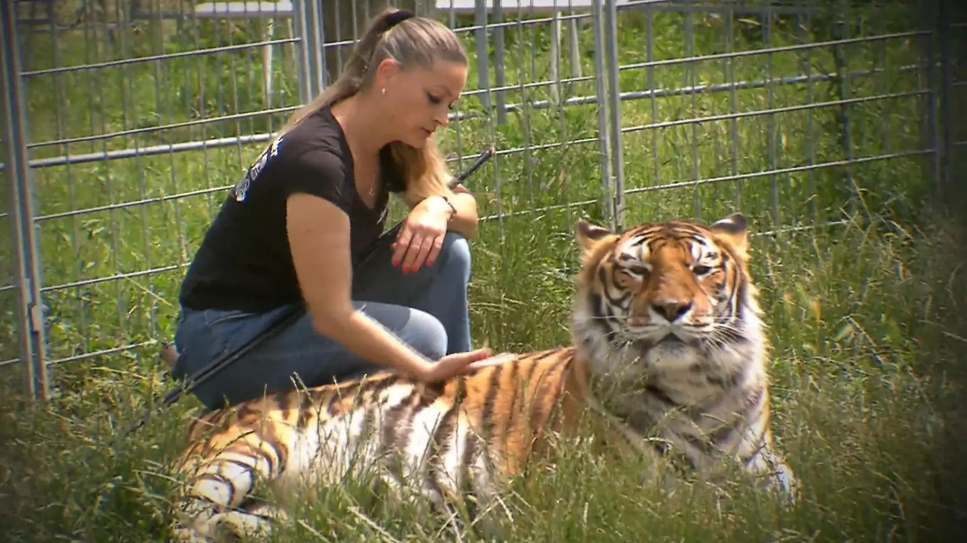 Carmen Zander mit einem ihrer Tiger.