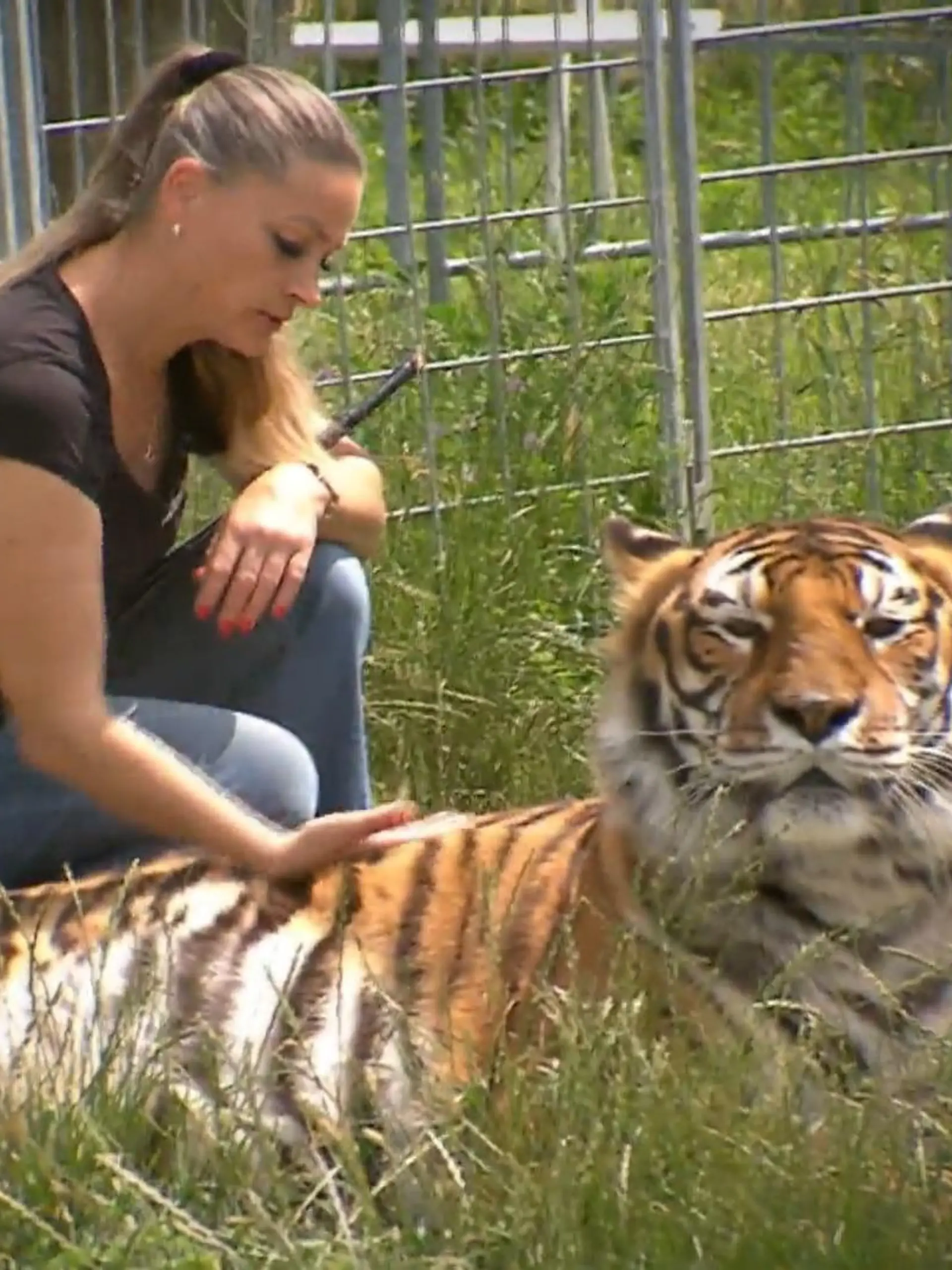Carmen Zander mit einem ihrer Tiger.