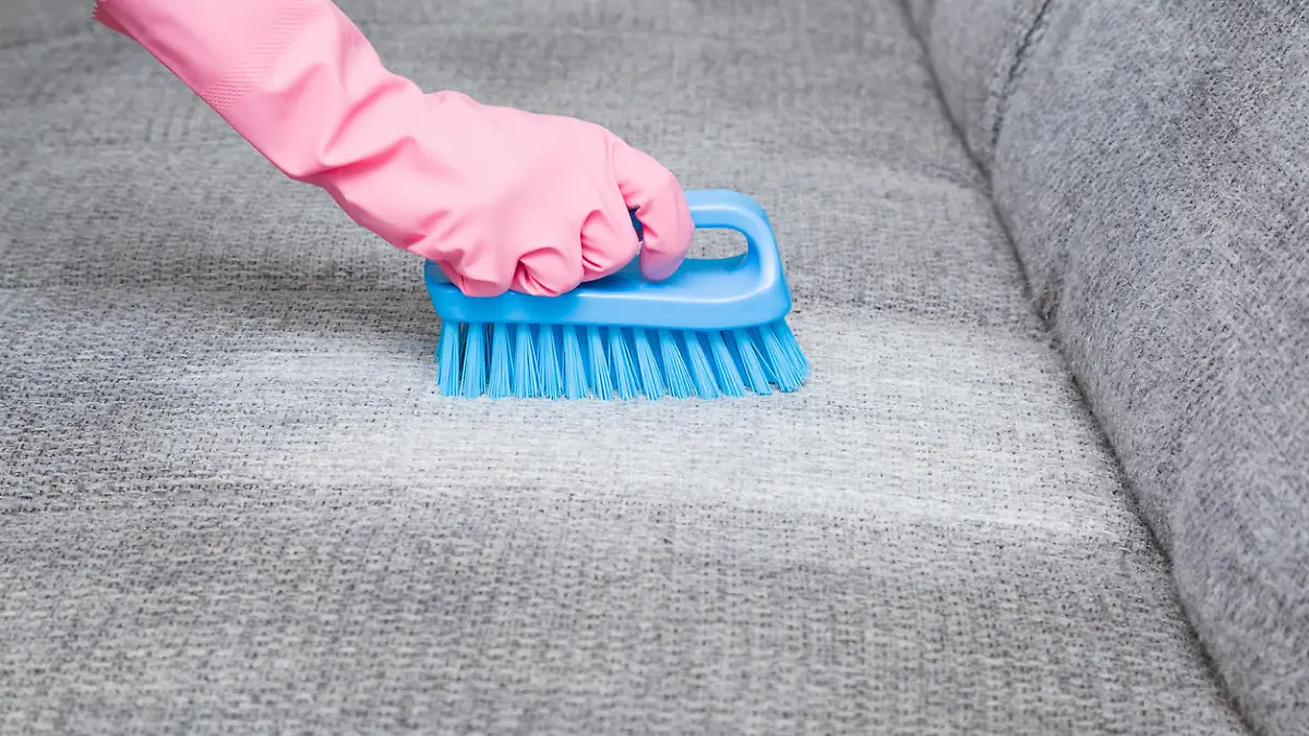 Sofa reinigen