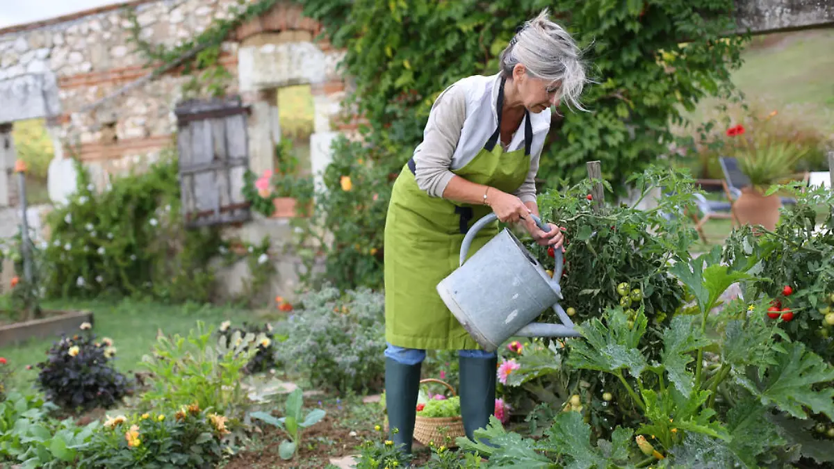 Schritt für Schritt: So gelingt der eigene Gemüsegarten
