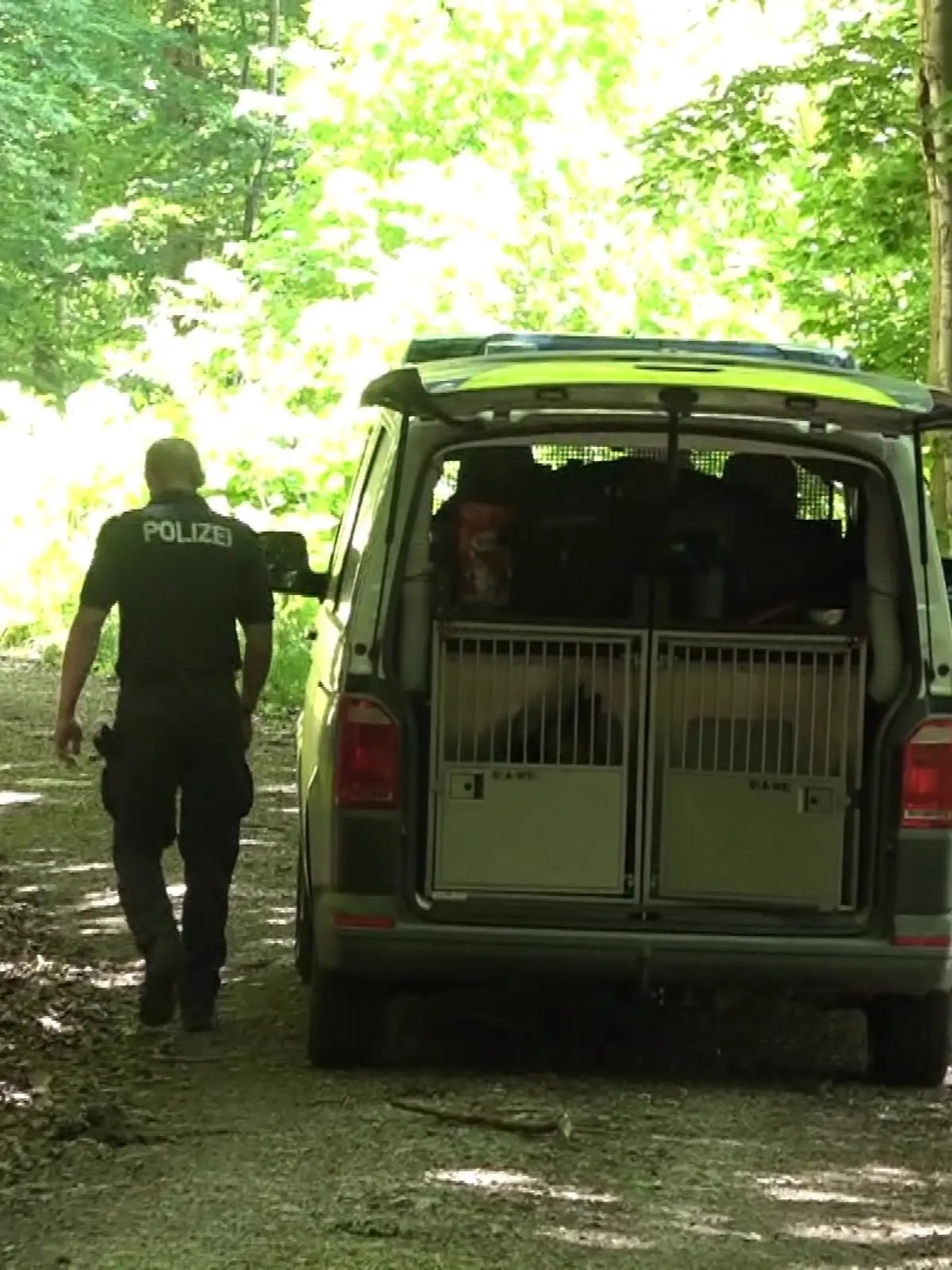 Spurensuche im Reinhäuser Wald bei Göttingen. 