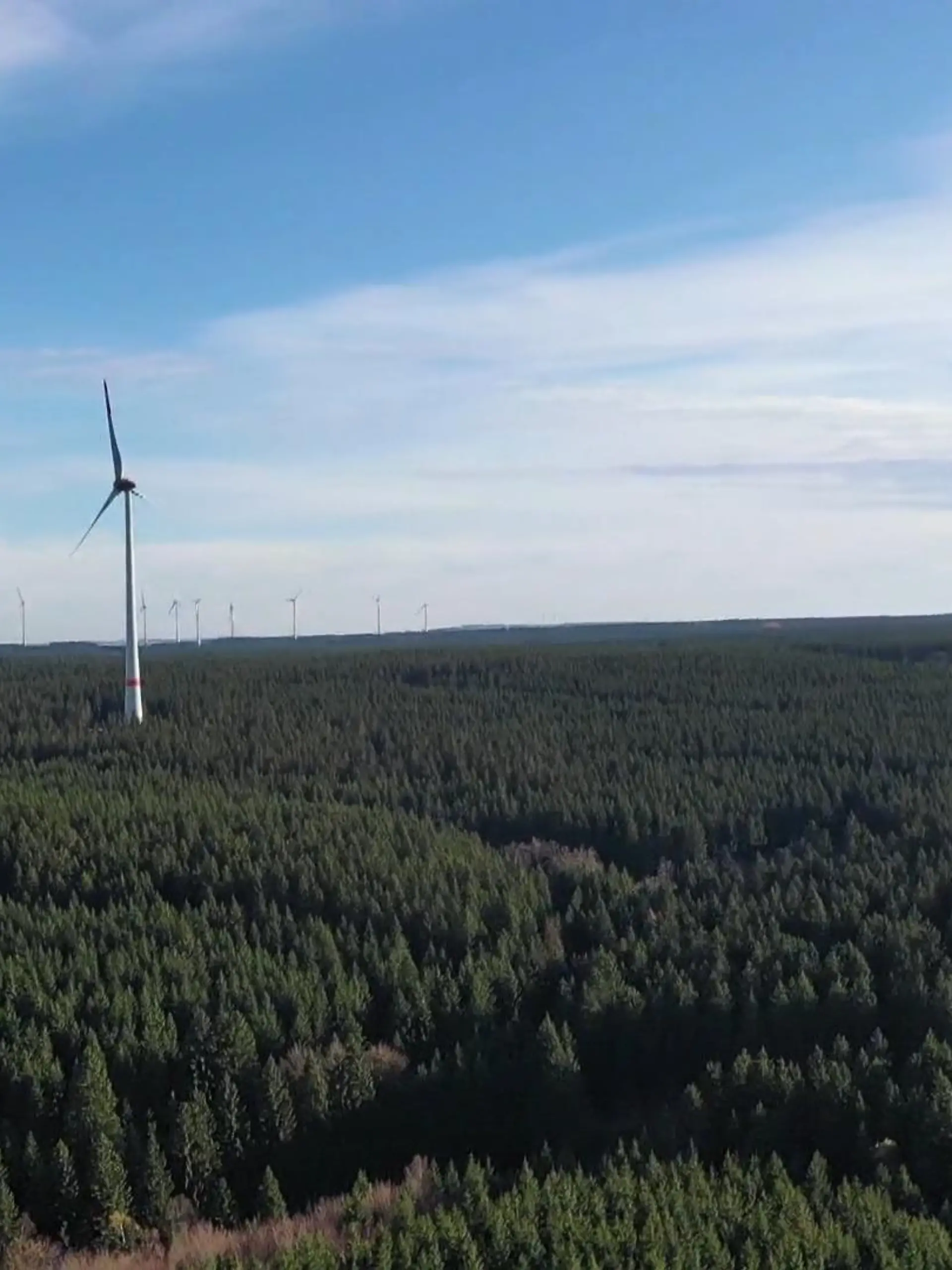Morgen ist internationaler Tag des Waldes. In dem Zusammenhang hat NRW-Landwirtschaftsministerin Silke Gorißen Bäume in Meschede gepflanzt. Dort äußerte sich die Politikerin auch zum allgemeinen Zustand des Waldes.