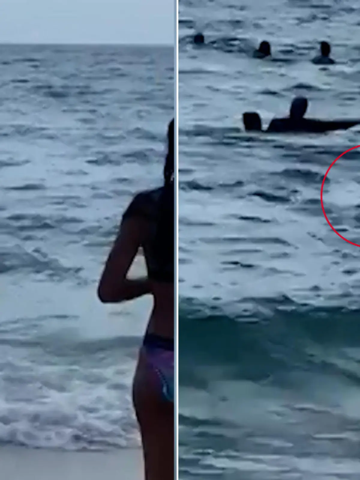 Am Strand von Miami in Florida wollen Badegäste einen entspannten Tag am Meer genießen, aber plötzlich taucht direkt zwischen den Touristen ein Hai auf. Der hat es jedoch nicht auf die Schwimmer und Urlauber abgesehen, sondern auf einen Stachelrochen. Die unglaublichen Bilder sehen Sie im Video.
