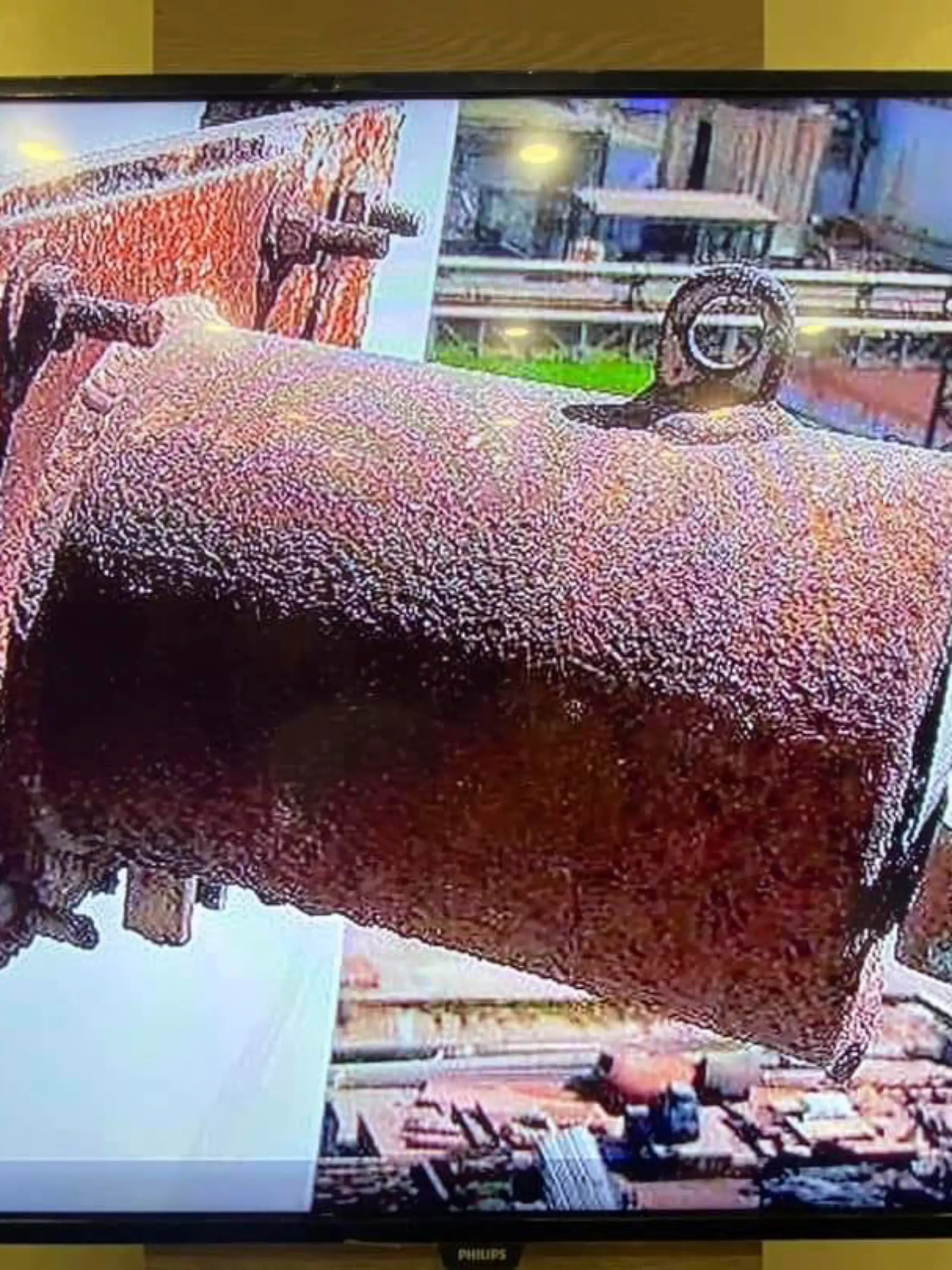 This image made on March 14, 2023, from the 2022 video provided by the Prachinburi Provincial Public Relations Office,  shows a radioactive cylinder, a steel tube, 30 cm (12 inches) long and 13 cm (5 inches) diameter that has gone missing from a steam power plant in Thailand's eastern province of Prachinburi. The video was taken in December 2022. (The Prachinburi Provincial Public Relations Office via AP)