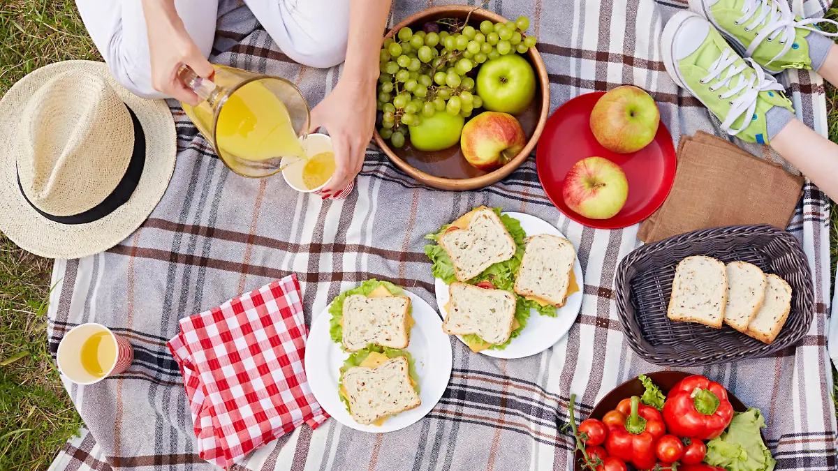 Picknick,Ausflug,essen,draußen,Decke,Lebensmittel,Käse,Outdoor,Saft,Käse,Trauben,Picknickdecke,Frau,Kind