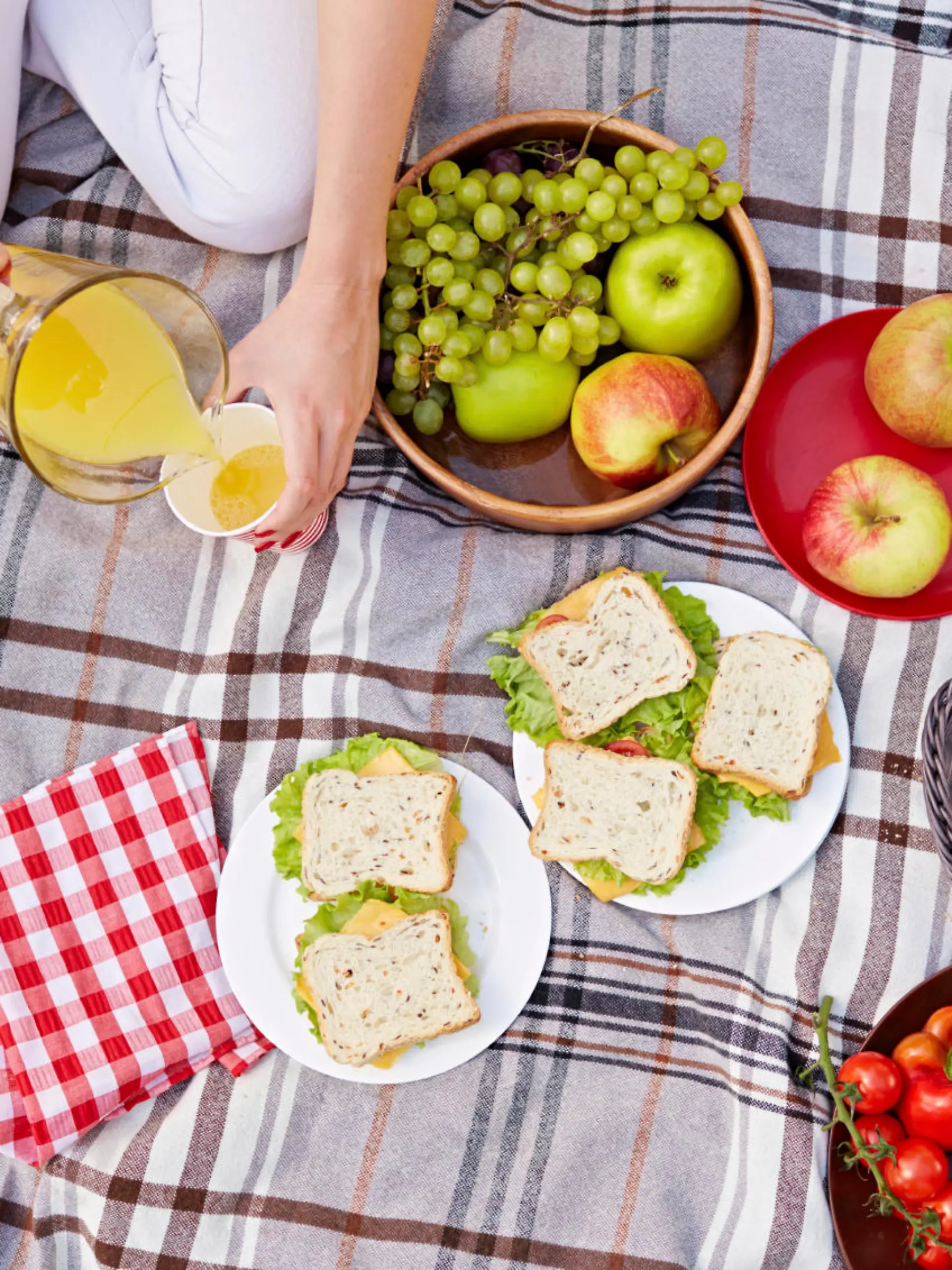 Picknick,Ausflug,essen,draußen,Decke,Lebensmittel,Käse,Outdoor,Saft,Käse,Trauben,Picknickdecke,Frau,Kind