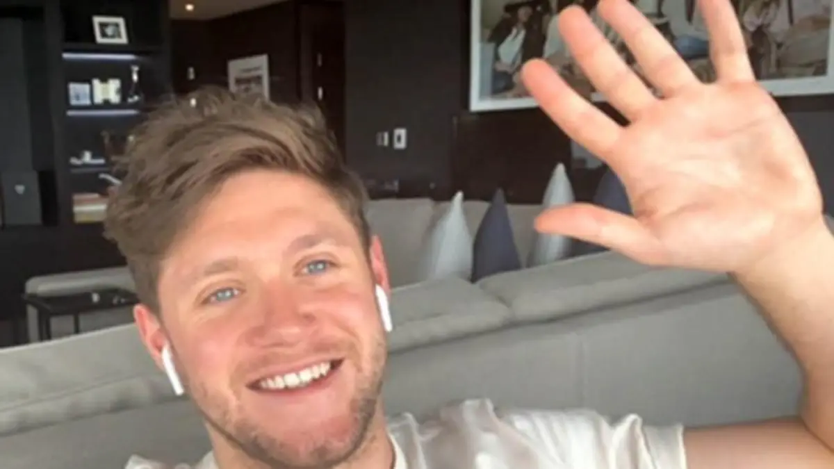 Niall Horan: Ed Sheeran will Mega-Hit landen