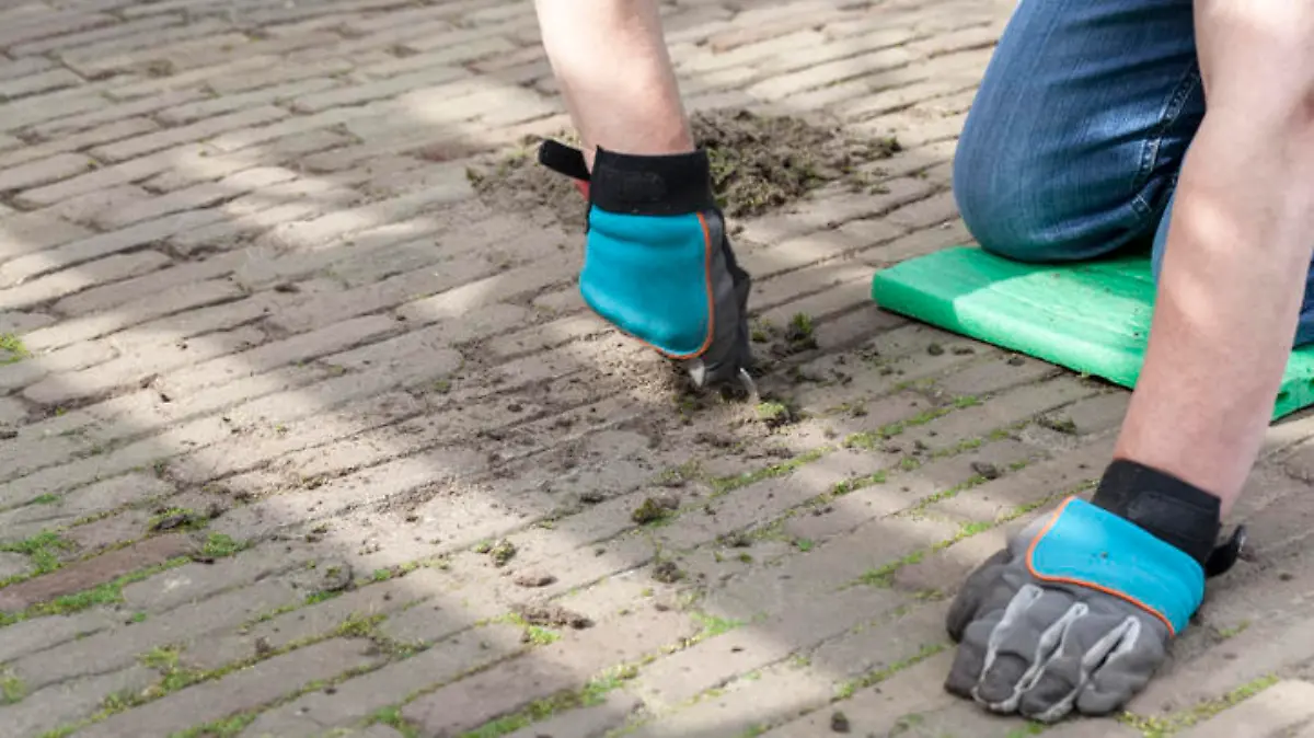 Mann kniet auf dem Boden einer Terrasse. Die Hände sind in Handschuhe gepackt. Mit einem Messer kratzt er das Moos aus den Fugen.