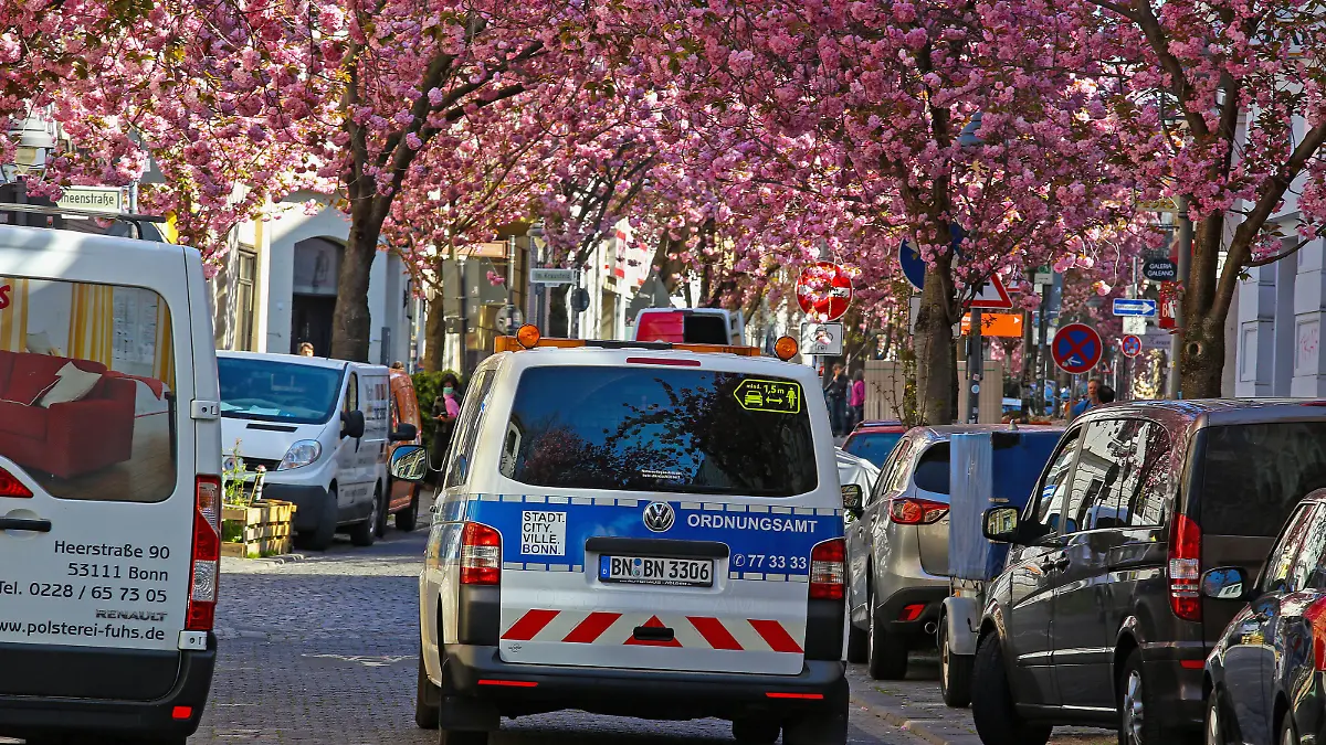  Traumwetter bei angenehmen Temperaturen, Baumbluete, Kirschbluete in der Heerstrasse in Bonn, dass Ordnungsamt ist unterwegs und schaut ob die Vorgaben wegen des Coronavirus eingehalten werden Fruehling in NRW am 06.04.2020 in Bonn/Deutschland. ACHTUNG: DAS KENNZEICHEN IST UNKENNTLICH ZU MACHEN *** Dream weather with pleasant temperatures, tree blossom, cherry blossom in the Heerstrasse in Bonn, the public order office is on the way and looks whether the defaults because of the Coronavirus are kept Spring in NRW on 06 04 2020 in Bonn Germany ATTENTION THE SIGNAL IS IMPOSSIBLE