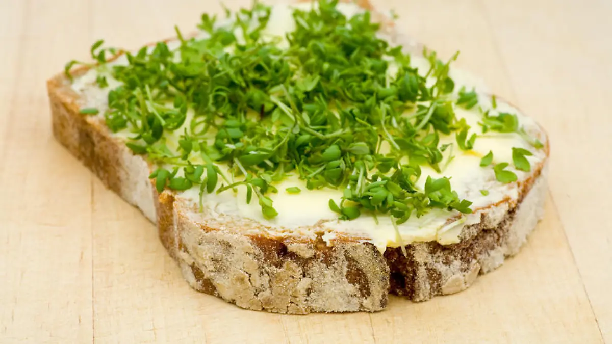 Brot, kräuter, frühstück, frisch, Kresse, Butterbrot, frische, Butter, einfach, Stulle, Magarine, gesund, belegen, stück, selbst, Schwarzbrot, Kräutergarten, schmieren, schmecken, Schmalz, Scheibe, normal, Nahaufnahme, Mehl, makro, lecker, zuhause, Kräuterbutter, Kohlenhydrate, Kastenbrot, Jause, gut, geschmack, Fett, Essen, Brotzeit, Brotscheibe, Aufstrich