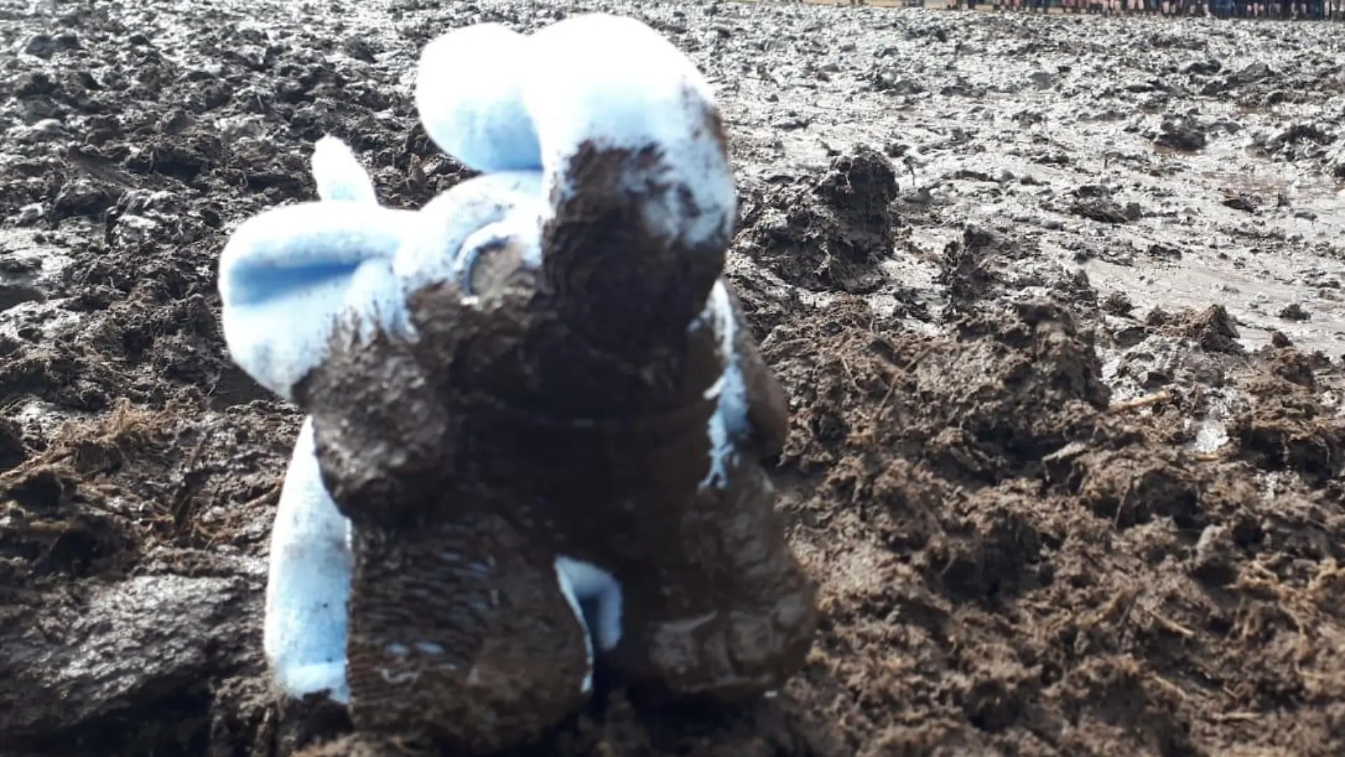 Der Elefant mit dem Wacken-Schlamm soll für den guten Zweck versteigert werden