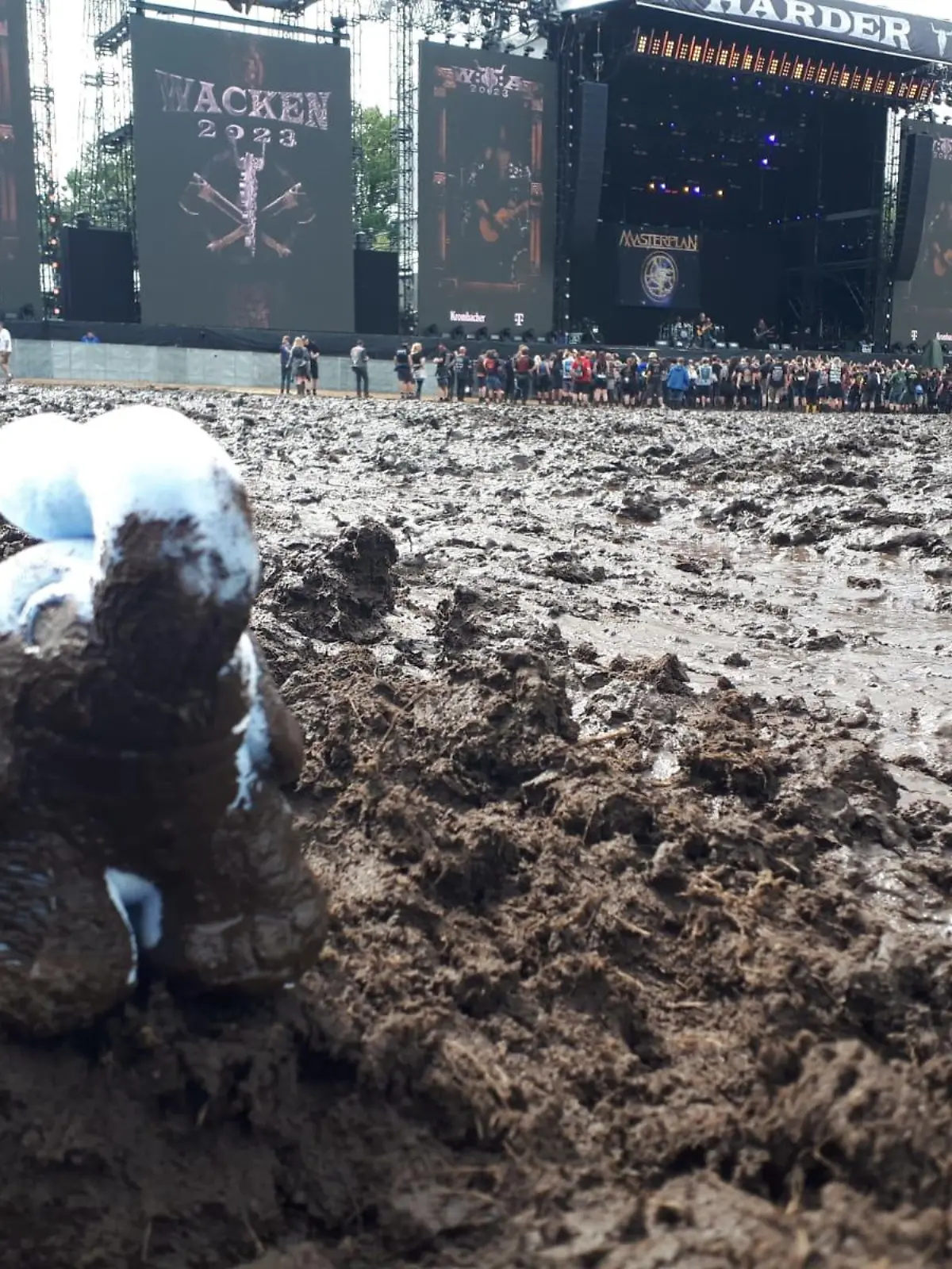 Der Elefant mit dem Wacken-Schlamm soll für den guten Zweck versteigert werden