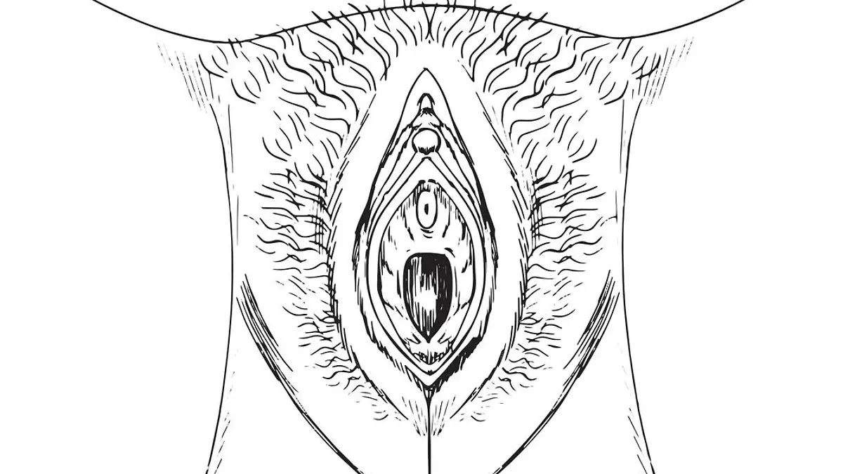 Ein Anfang: sich mit der Anatomie des eigenen Geschlechts vertraut machen