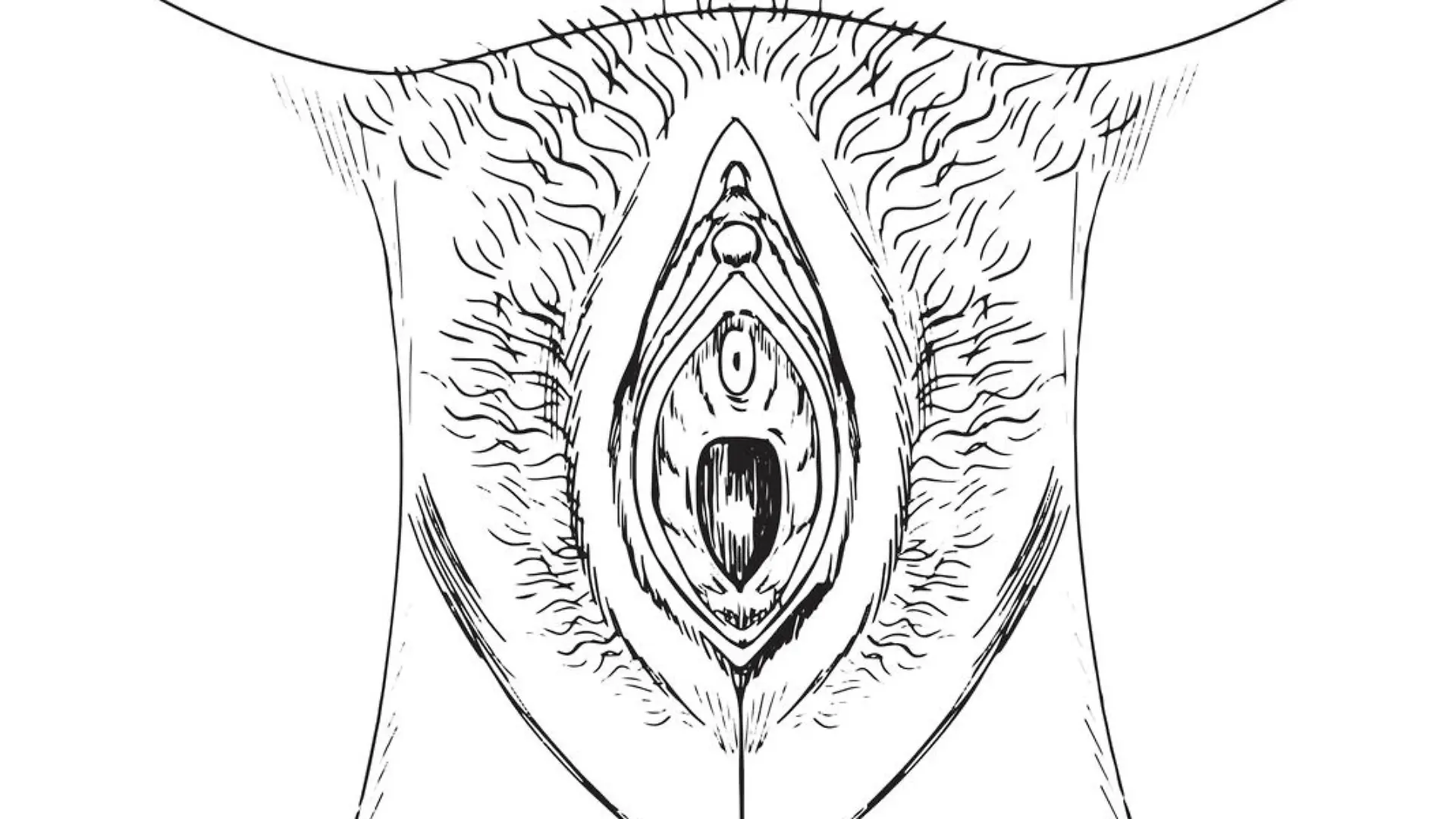Ein Anfang: sich mit der Anatomie des eigenen Geschlechts vertraut machen
