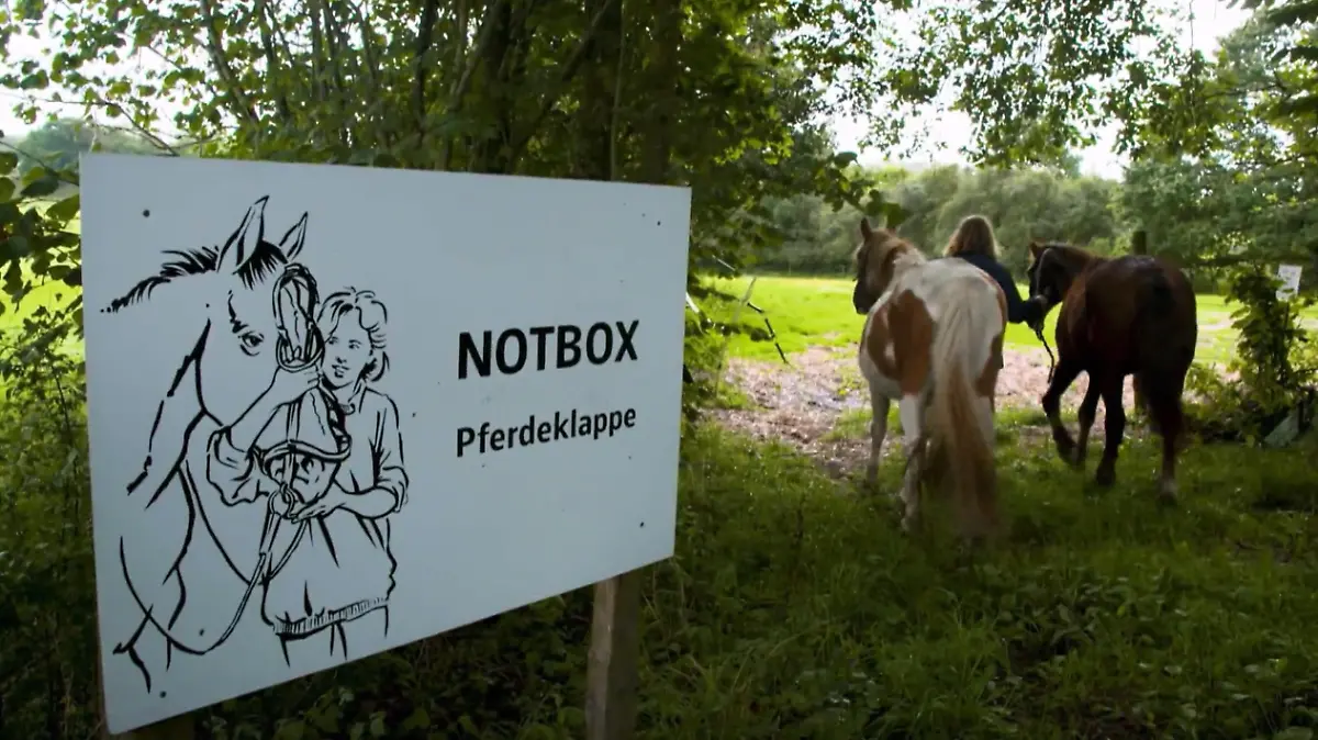 Pferdeklappe in Schleswig-Holstein