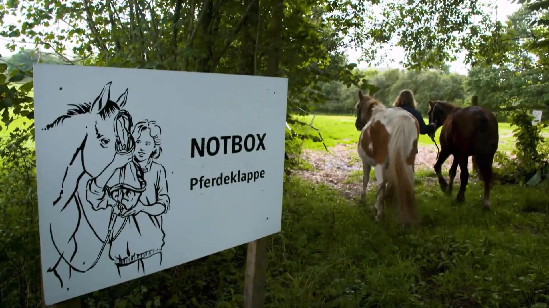 Pferdeklappe in Schleswig-Holstein