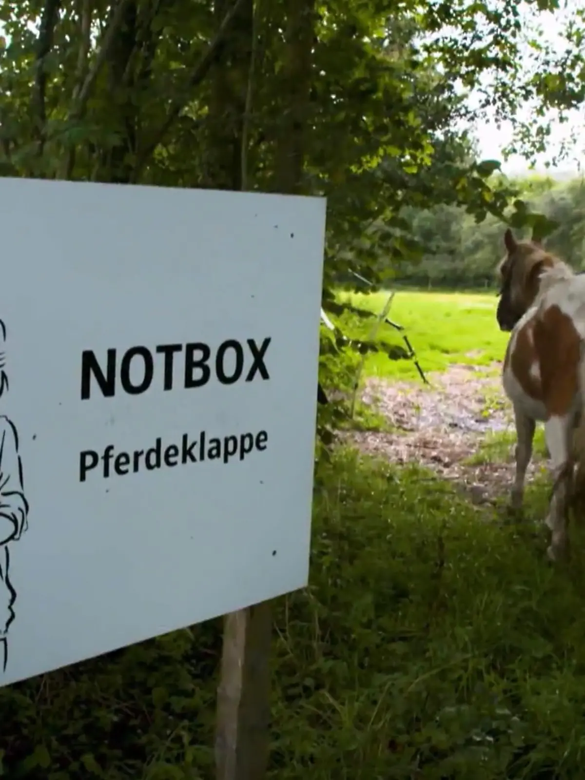 Pferdeklappe in Schleswig-Holstein