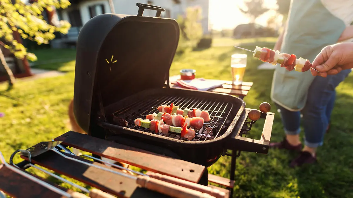 Weber-Grill im Test