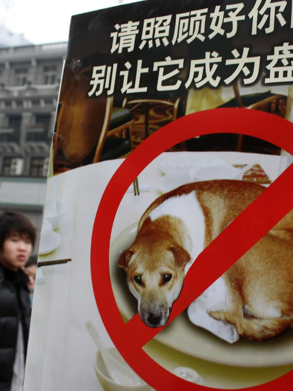 Hunde und Katzen dürfen in der chinesischen Metropole Shenzhen nicht mehr verzehrt werden.