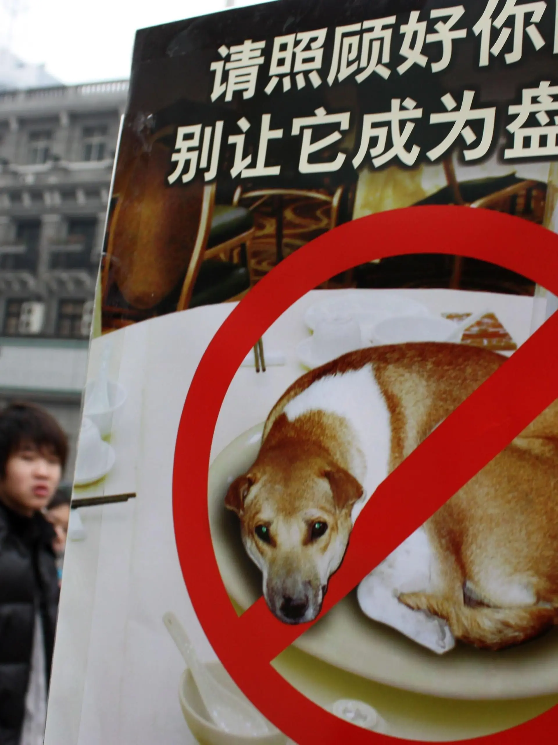 Hunde und Katzen dürfen in der chinesischen Metropole Shenzhen nicht mehr verzehrt werden.