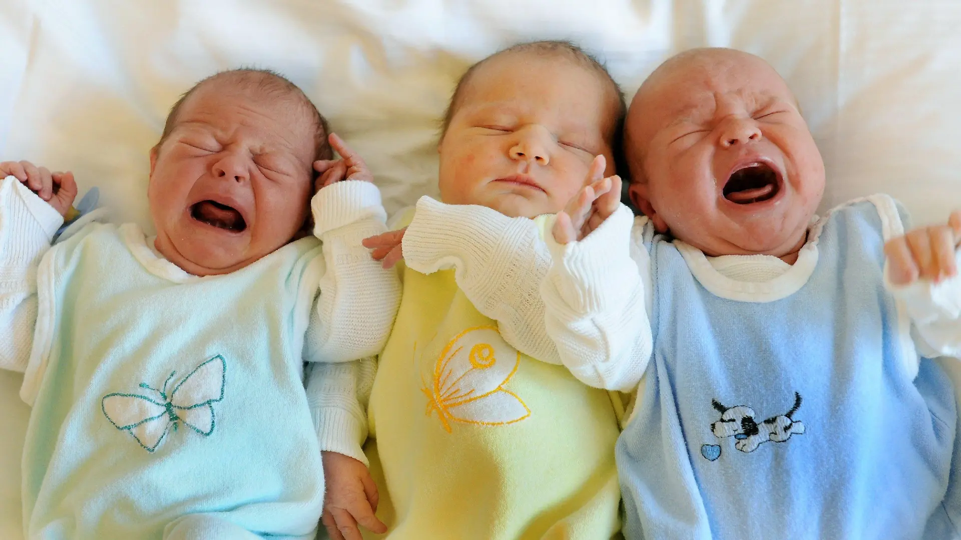 ARCHIV - Drei Babys liegen in der Universitätsfrauenklinik in Leipzig (Archivfoto vom 03.02.2009). Die Zahl der Geburten in Deutschland ist im vergangenen Jahr offensichtlich doch kaum zurückgegangen. Sie sei nur um rund 2000 und nicht wie im April zunächst angenommen um 8000 gesunken, berichtet die «Frankfurter Allgemeine Sonntagszeitung» unter Berufung auf neue Zahlen des Statistischen Bundesamts. Endgültige Daten will das Statistische Bundesamt im August 2009 vorlegen. Foto: Waltraud Grubitzsch dpa/lsn (zu dpa 4183 vom 18.07.2009) +++(c) dpa - Bildfunk+++