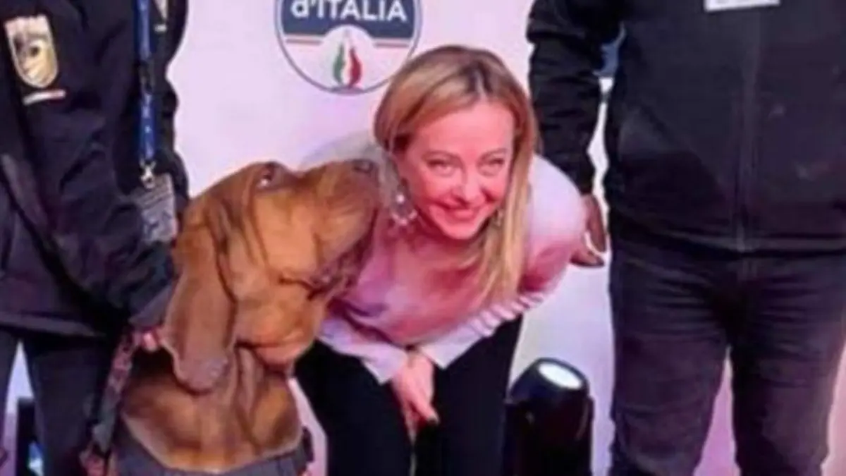 Bruno wurde 2022 von Premierministerin Giorgia Meloni ausgezeichnet. Jetzt ist der Helden-Hund tot. Ein Köder mit Nägeln beendete sein Leben.