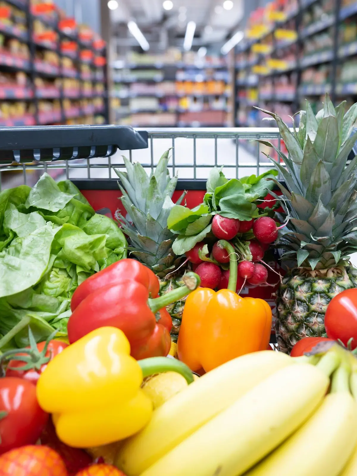 ARCHIV - 17.01.2023, Sachsen, Dresden: Ein Einkaufskorb mit Obst und Gemüse steht in einem Supermarkt. Auch im Supermarkt wurde in den vergangenen Monaten vieles teurer. Immerhin: Bei Obst und Gemüse fiel der Preisanstieg deutlich moderater aus als bei anderen Produkten. Gleichwohl kämpft auch der Fruchthandel mit den Auswirkungen der Krise. (zu dpa «Großes Angebot an Obst und Gemüse sorgt für moderate Preise») Foto: Sebastian Kahnert/dpa +++ dpa-Bildfunk +++
