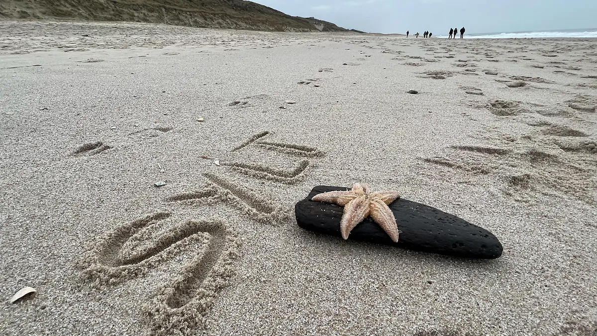 22.02.2023, Schleswig-Holstein, Wenningstedt / Sylt: ·Sylt· hat eine unbekannte Person auf der Nordseeinsel am Strand von Wennigstedt in den Sand geschrieben, davor liegt ein Seestern auf einem Stück Holz. Als Folgen des winterlichen Wetters mit Stürmen finden Spaziergänger Seesterne zu Hunderten an den Stränden von Nord- und Ostsee. (zu dpa ·Stürme spülen viele Seesterne an die Strände·) Foto: Daniel Bockwoldt/dpa +++ dpa-Bildfunk +++