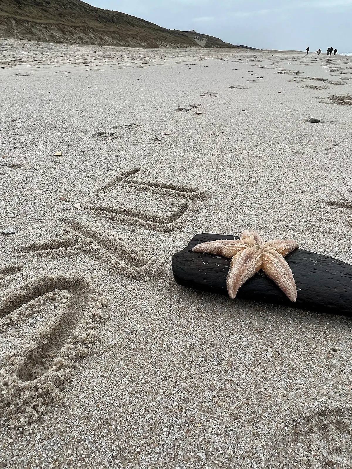 22.02.2023, Schleswig-Holstein, Wenningstedt / Sylt: ·Sylt· hat eine unbekannte Person auf der Nordseeinsel am Strand von Wennigstedt in den Sand geschrieben, davor liegt ein Seestern auf einem Stück Holz. Als Folgen des winterlichen Wetters mit Stürmen finden Spaziergänger Seesterne zu Hunderten an den Stränden von Nord- und Ostsee. (zu dpa ·Stürme spülen viele Seesterne an die Strände·) Foto: Daniel Bockwoldt/dpa +++ dpa-Bildfunk +++