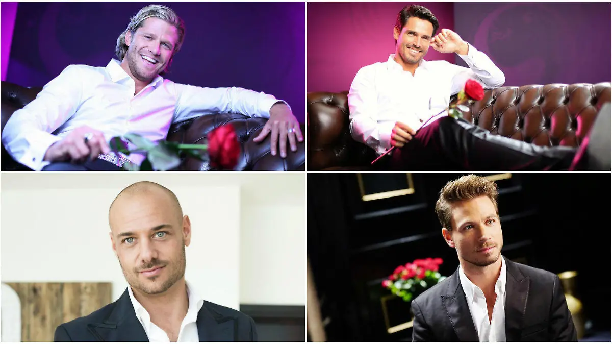 Die einstigen Bachelor: Paul, Jan, Christian und Sebastian