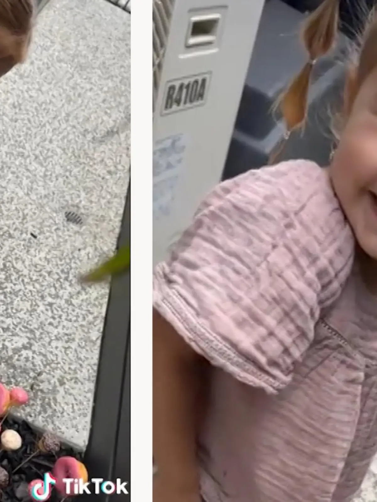 Erin Domin aus Australien hat eine außergewöhnliche Idee, um ihrer Tochter den Schnuller abzugewöhnen. Wie genau sie das anstellt, sehen Sie im Video.