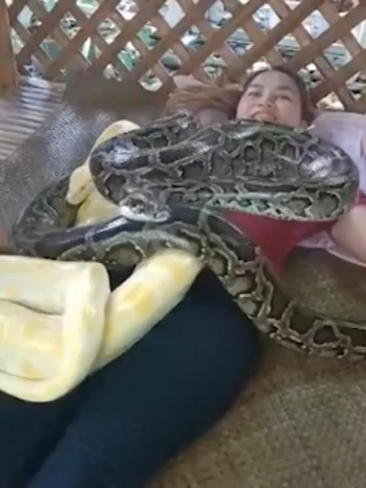 Was Sie hier sehen ist kein Angriff von zwei Pythons, sondern soll tatsächlich für Entspannung sorgen. Die „Schlangenmassage“ bietet eine Farm auf den Philippinen an und kostet für 30 Minuten umgerechnet rund 5 Euro.