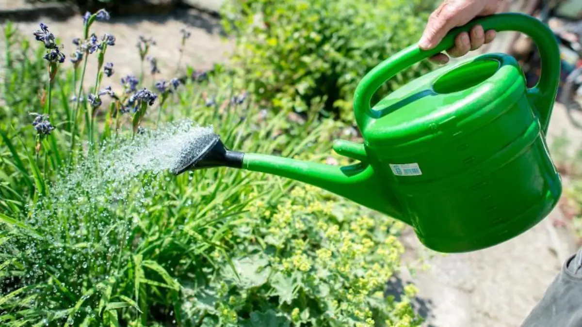 Ein Mann gießt Blumen mit einer Gießkanne