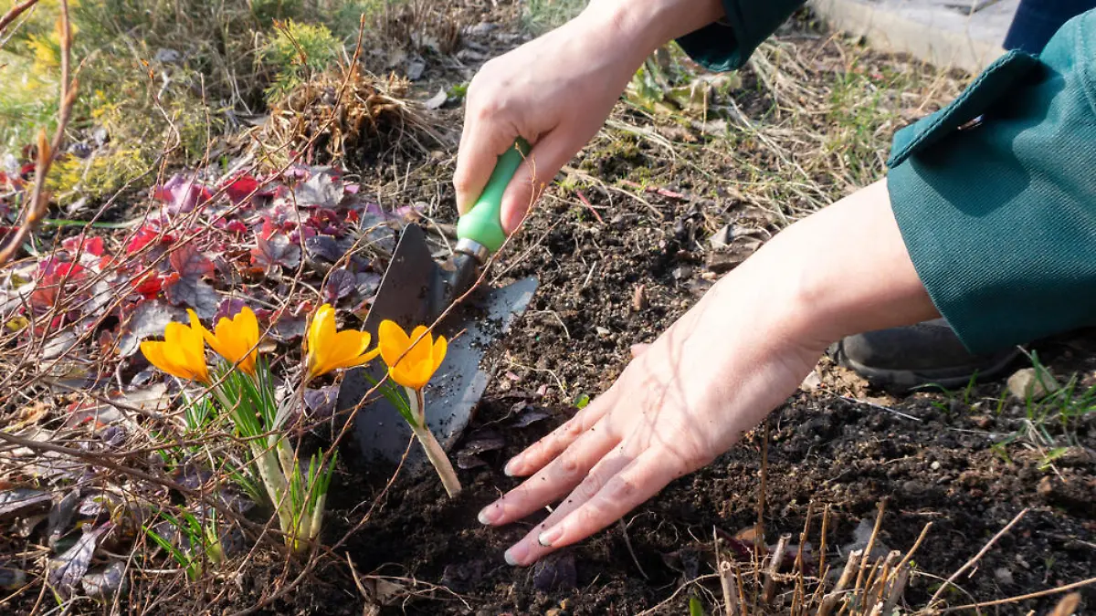 Frühlingsanfang: Was Sie jetzt für Ihren Garten tun können