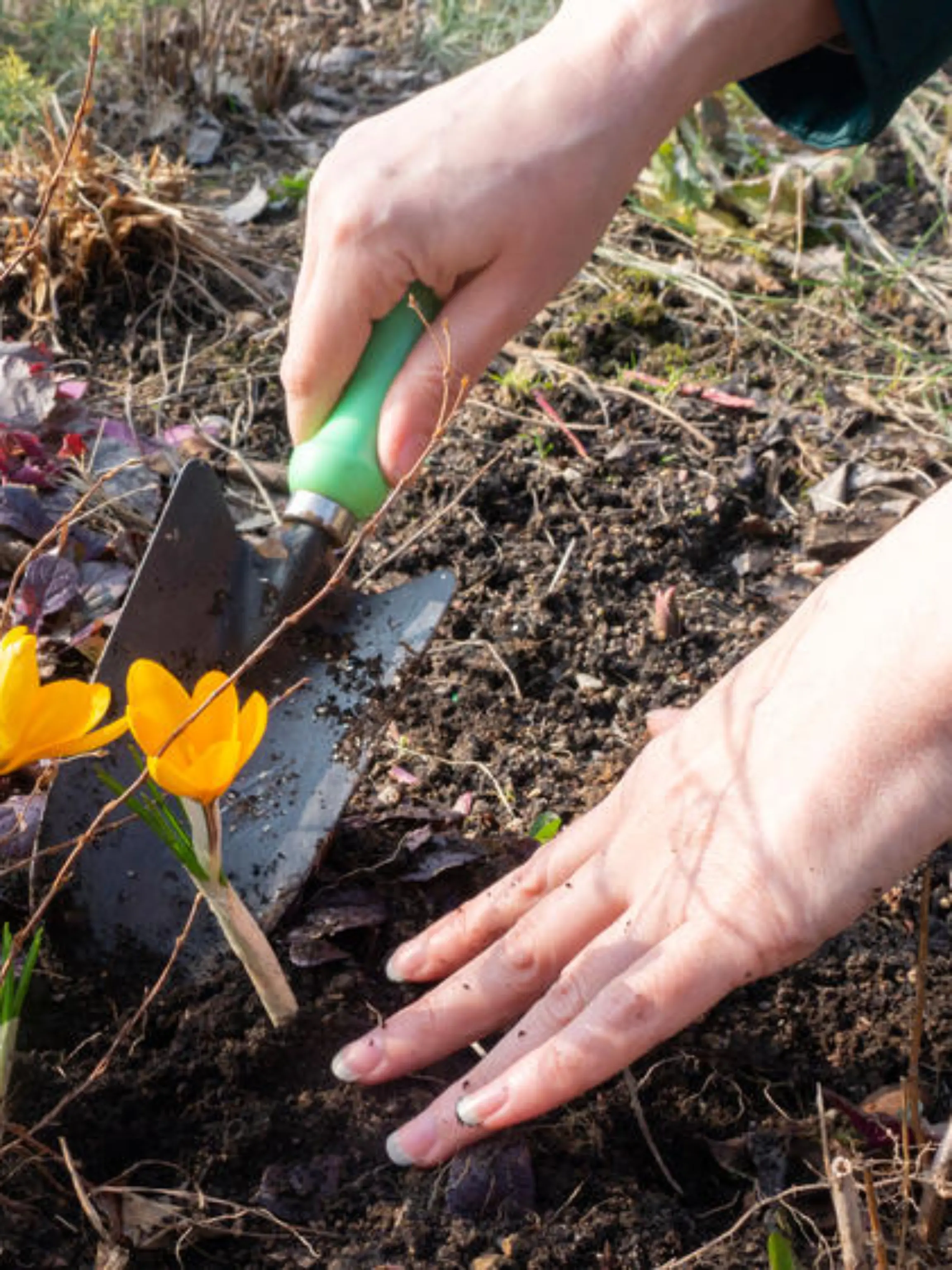 Frühlingsanfang: Was Sie jetzt für Ihren Garten tun können
