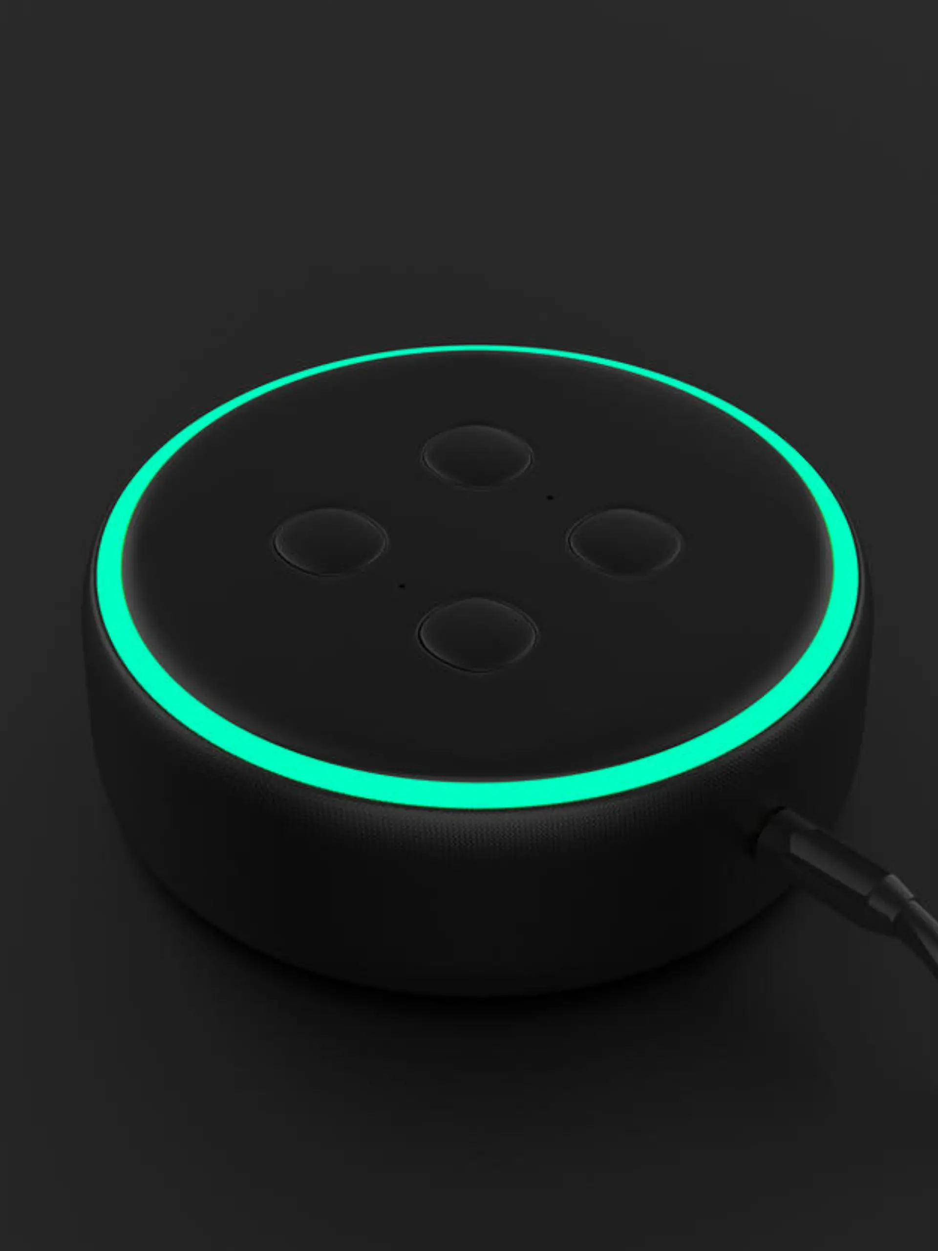 Alexa blinkt grün