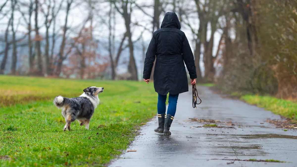 06.03.2020, Niedersachsen, Hanstedt: Eine Frau geht mit ihrer Hündin Maja im Regen spazieren. Foto: Philipp Schulze/dpa +++ dpa-Bildfunk +++