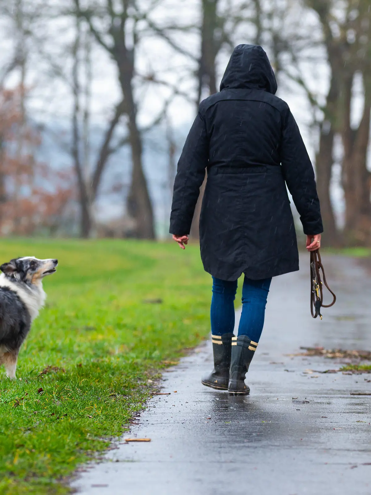 06.03.2020, Niedersachsen, Hanstedt: Eine Frau geht mit ihrer Hündin Maja im Regen spazieren. Foto: Philipp Schulze/dpa +++ dpa-Bildfunk +++