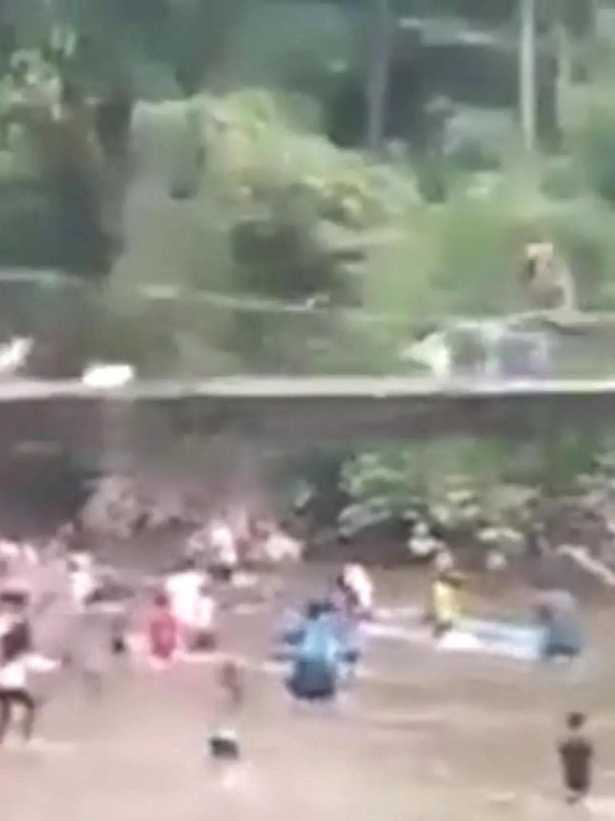 Sie wollten eigentlich ihr Unabhänigkeitsfest feiern: Bewohner eines Dorfes in der Provinz  Ost-Kalimantan stürmen in den Fluss, als plötzlich die Hängebrücke über ihnen zusammenbricht. Bei dem Unfall werden 32 Menschen verletzt und ins Krankenhaus eingeliefert. Todesopfer gab es glücklicherweise keine.