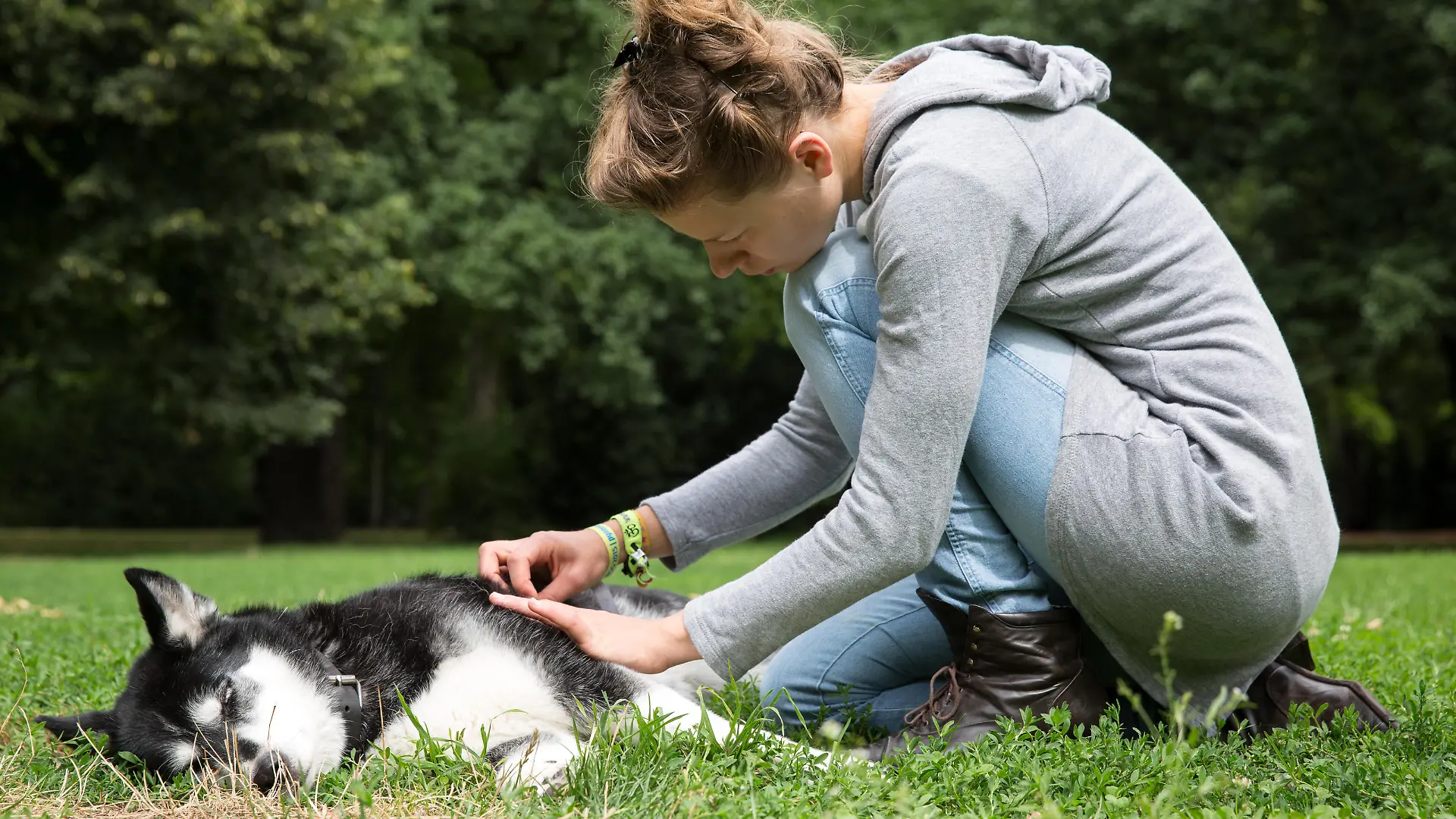 ILLUSTRATION - Eine Frau untersucht am 27.07.2015 in Berlin in einem Park das Fell eines Huskymischlings auf Parasiten. Foto: Florian Schuh