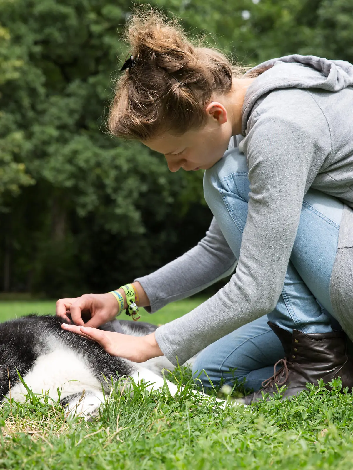 ILLUSTRATION - Eine Frau untersucht am 27.07.2015 in Berlin in einem Park das Fell eines Huskymischlings auf Parasiten. Foto: Florian Schuh