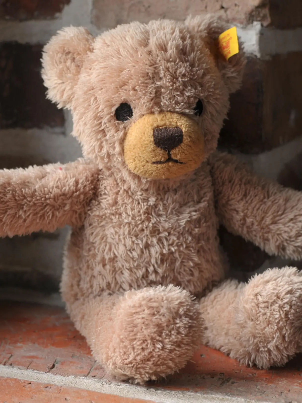 Ein einsamer Teddybär sitzt auf der Fensterbank. Foto: Markus C. Hurek