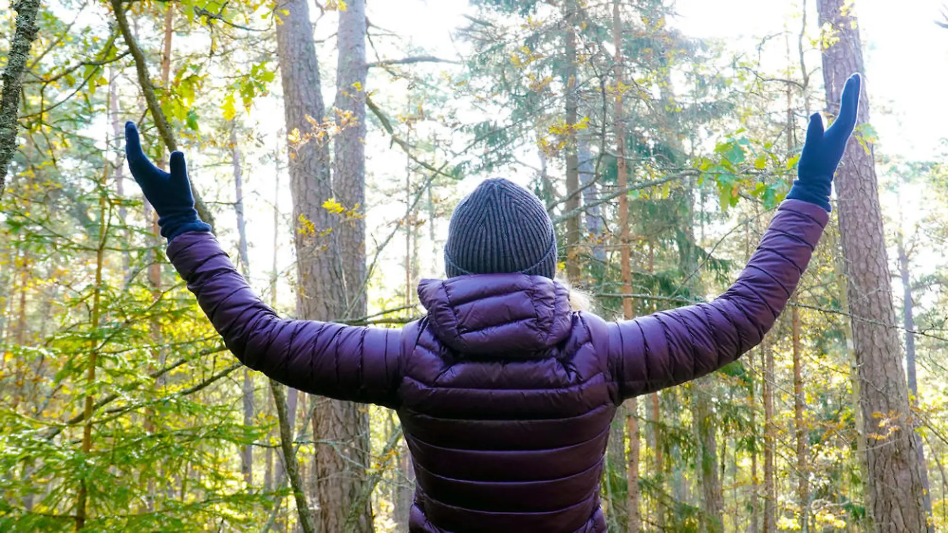Wellness-Trend Waldbaden: "Ein altmodischer Spaziergang reicht!"