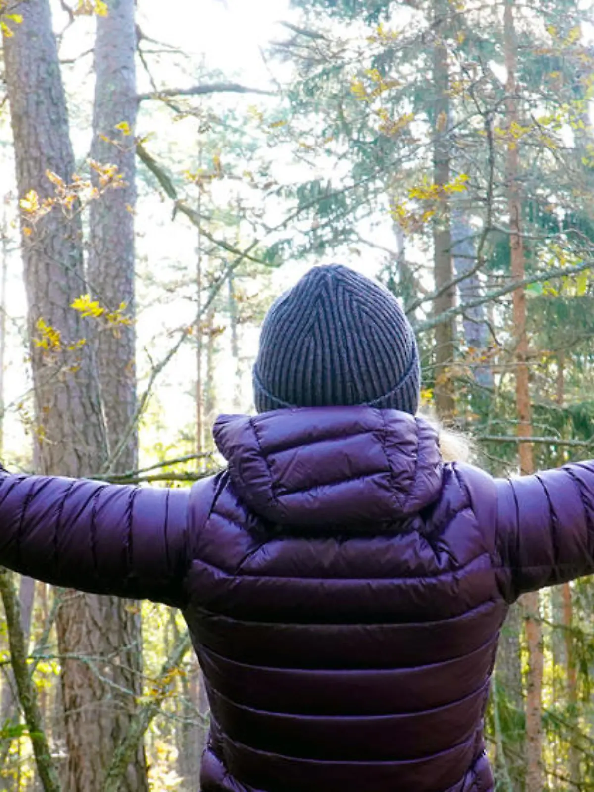 Wellness-Trend Waldbaden: "Ein altmodischer Spaziergang reicht!"